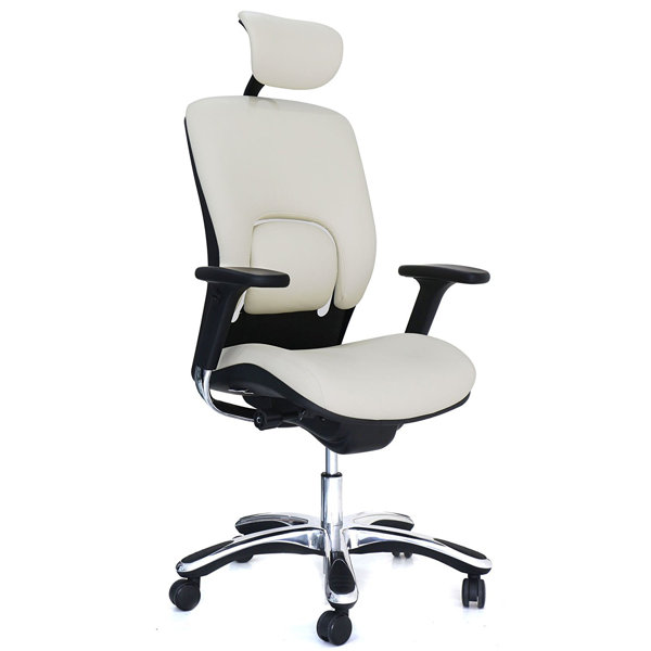 Symple Stuff Genuine Leather Task Chair & Reviews Wayfair
